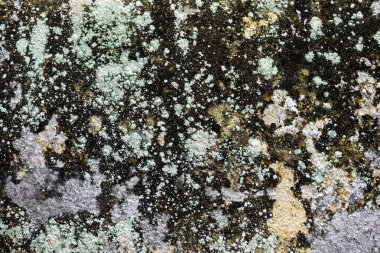 Eski bir bina duvarındaki Grunge arkaplan dokusu.