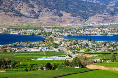 Yaz mevsiminde Okanagan Vadisi, British Columbia, Kanada 'daki küçük Osoyoos kasabasındaki tarım arazisi ve üzüm bağlarının manzarası.