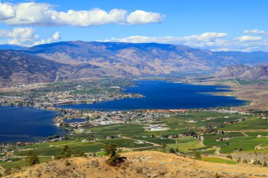 Yaz mevsiminde Okanagan Vadisi, British Columbia, Kanada 'daki küçük Osoyoos kasabasındaki tarım arazisi ve üzüm bağlarının manzarası.