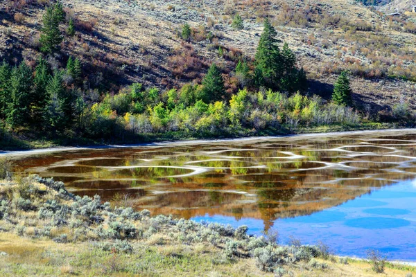 Spotted Lake Saline Endorheic Alkali Lake Located Northwest Osoyoos Eastern — Stock Photo, Image