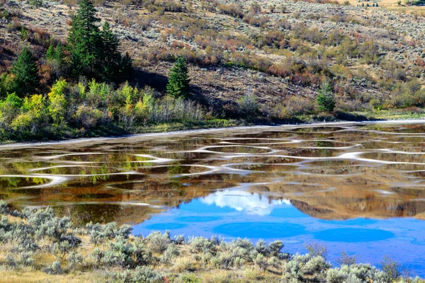 Spotted Lake Saline Endorheic Alkali Lake Located Northwest Osoyoos Eastern — Stock Photo, Image