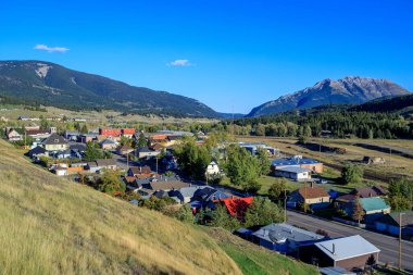 Coleman, Kanada 'nın Alberta eyaletinin güneybatısındaki Crowsnest Geçidi' nde bulunan Rocky Dağları 'nda yer alan bir topluluk..