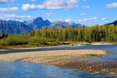 Elk Nehri, Kanada 'nın British Columbia eyaletinin güneydoğu Kootenay bölgesinde yer alan 220 km uzunluğunda bir nehirdir..