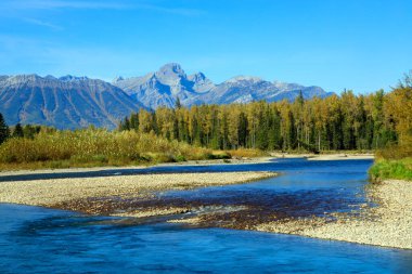 Elk Nehri, Kanada 'nın British Columbia eyaletinin güneydoğu Kootenay bölgesinde yer alan 220 km uzunluğunda bir nehirdir..