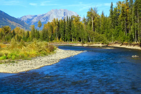 Elk Nehri Kanada Nın British Columbia Eyaletinin Güneydoğu Kootenay Bölgesinde — Stok fotoğraf