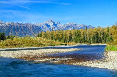 Elk Nehri, Kanada 'nın British Columbia eyaletinin güneydoğu Kootenay bölgesinde yer alan 220 km uzunluğunda bir nehirdir..