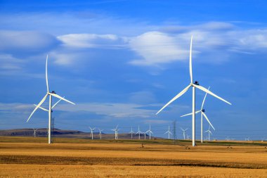 Rüzgar enerjisi ya da rüzgar enerjisi elektrik üretmek için rüzgar türbinlerinin kullanılmasıdır. Rüzgar enerjisi popüler, sürdürülebilir, yenilenebilir bir enerji kaynağıdır.. 