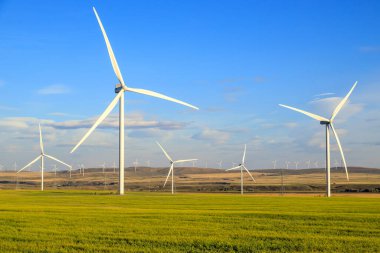 Rüzgar enerjisi ya da rüzgar enerjisi elektrik üretmek için rüzgar türbinlerinin kullanılmasıdır. Rüzgar enerjisi popüler, sürdürülebilir, yenilenebilir bir enerji kaynağıdır.. 