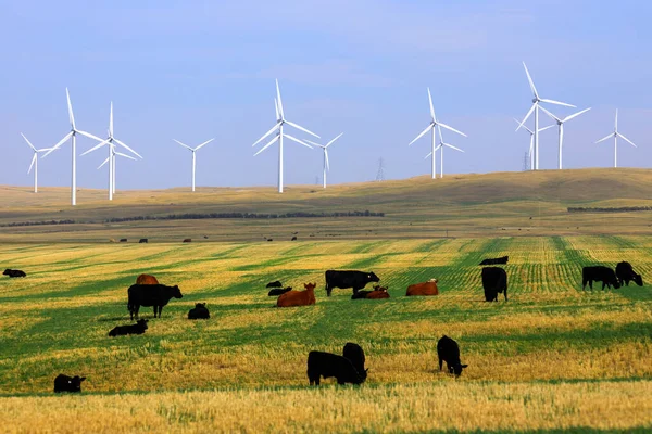 Wind Power Wind Energy Use Wind Turbines Generate Electricity Wind — Stock Photo, Image