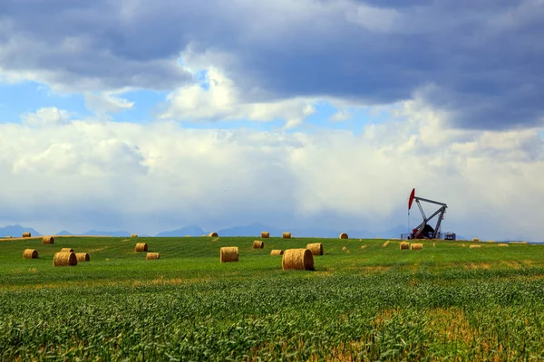 Alberta, Kanada 'da bir petrol pompacısı. Petrol pompası, bir petrol kuyusunda karşılıklı piston pompası için zemin sürücüsüdür.. 