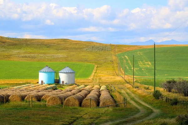 Ubicado Entre Las Montañas Rocosas Pradera Canadiense Alto País Ganadero — Foto de Stock