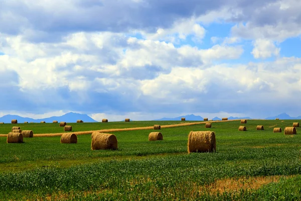 Situado Entre Montanhas Rochosas Pradaria Canadense País Alta Fazenda Alberta — Fotografia de Stock