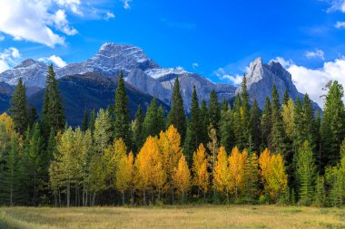Lougheed Dağı (İngilizce: Mount Lougheed) Kanada 'nın Alberta Kayalıkları' ndaki Kananaskis Vadisi ile Spray Lakes Reservoir arasında yer alan 3.107 metrelik bir dağdır.. 