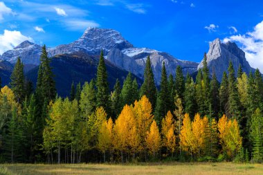 Lougheed Dağı (İngilizce: Mount Lougheed) Kanada 'nın Alberta Kayalıkları' ndaki Kananaskis Vadisi ile Spray Lakes Reservoir arasında yer alan 3.107 metrelik bir dağdır.. 