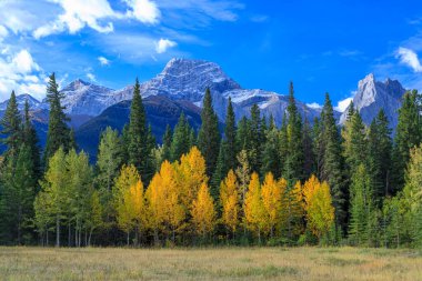 Lougheed Dağı (İngilizce: Mount Lougheed) Kanada 'nın Alberta Kayalıkları' ndaki Kananaskis Vadisi ile Spray Lakes Reservoir arasında yer alan 3.107 metrelik bir dağdır.. 