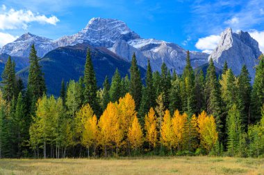 Lougheed Dağı (İngilizce: Mount Lougheed) Kanada 'nın Alberta Kayalıkları' ndaki Kananaskis Vadisi ile Spray Lakes Reservoir arasında yer alan 3.107 metrelik bir dağdır.. 