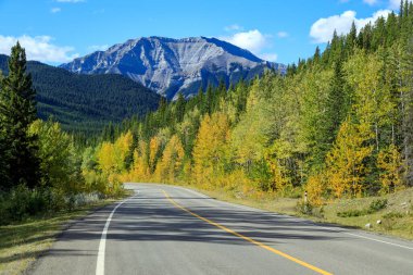 Sheep River Provincial Park is a provincial park located in Alberta, Canada, 23 kilometres west of Turner Valley on highway 546. It is part of the Kananaskis Country park system.