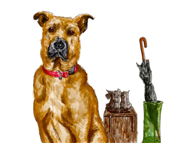 Retrato Mascota Perro Adulto Black Mouth Cur Southern Cur Ilustración — Foto de Stock