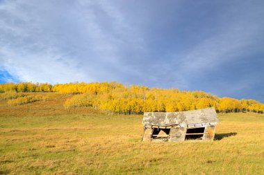 Kanada 'nın Alberta, Priddis yakınlarındaki The Cowboy Trail' de eski bir çiftlik evi ve sarı yapraklı bir sonbahar kırsal arazisi..