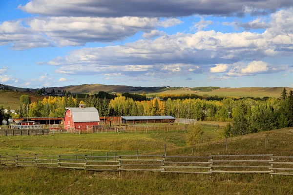 Kanada 'nın kırsal kesimindeki tarım arazisi ve Kanada Alberta' da kırmızı bir ahır..