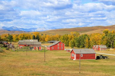 Longview, Alberta yakınlarındaki Bar U Çiftliği Ulusal Tarih Bölgesi 70 yıldır Kanada 'nın önde gelen çiftlik işletmelerinden biri olan korunmuş bir çiftliktir.