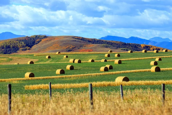 Ett Jordbrukslandskap Med Valsade Höbalar Vid Foten Kanadensiska Klipporna Cowboy — Stockfoto