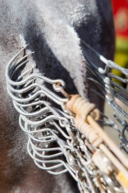 Georgetown, Penang, Malezya - 09 Şubat 2017: Hindu dindarlar, Georgetown, Penang, Malezya 'da düzenlenen Thaipusam kutlamaları sırasında Hindu tanrısı Lord Muruga' nın törensel tapınmasını ve geçit törenini kutladılar..