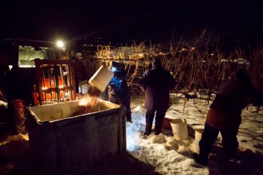 23 Aralık 2017 - Naramata, British Columbia, Kanada: Okanagan Vadisi, British Columbia, Kanada 'da bulunan Naramata' da gecenin bir yarısı donmuş Gewurztraminer üzümleri hasat eden tarım işçileri. 