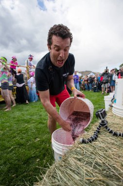 1 Ekim 2017 - Oliver, British Columbia, Kanada: Oliver, British Columbia, Kanada 'da düzenlenen yıllık Üzüm Festivali' ne katılanlar. Üzüm Ezme en popüler etkinliklerden biri.