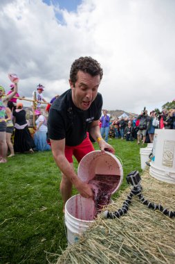 1 Ekim 2017 - Oliver, British Columbia, Kanada: Oliver, British Columbia, Kanada 'da düzenlenen yıllık Üzüm Festivali' ne katılanlar. Üzüm Ezme en popüler etkinliklerden biri.