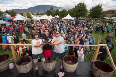 1 Ekim 2017 - Oliver, British Columbia, Kanada: Oliver, British Columbia, Kanada 'da düzenlenen yıllık Üzüm Festivali' ne katılanlar. Üzüm Ezme en popüler etkinliklerden biri.