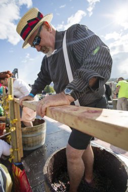 1 Ekim 2017 - Oliver, British Columbia, Kanada: Oliver, British Columbia, Kanada 'da düzenlenen yıllık Üzüm Festivali' ne katılanlar. Üzüm Ezme en popüler etkinliklerden biri.