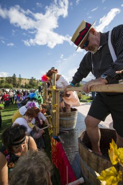1 Ekim 2017 - Oliver, British Columbia, Kanada: Oliver, British Columbia, Kanada 'da düzenlenen yıllık Üzüm Festivali' ne katılanlar. Üzüm Ezme en popüler etkinliklerden biri.