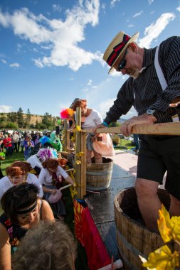 1 Ekim 2017 - Oliver, British Columbia, Kanada: Oliver, British Columbia, Kanada 'da düzenlenen yıllık Üzüm Festivali' ne katılanlar. Üzüm Ezme en popüler etkinliklerden biri.