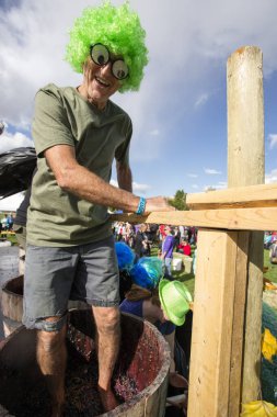 1 Ekim 2017 - Oliver, British Columbia, Kanada: Oliver, British Columbia, Kanada 'da düzenlenen yıllık Üzüm Festivali' ne katılanlar. Üzüm Ezme en popüler etkinliklerden biri.