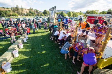 1 Ekim 2017 - Oliver, British Columbia, Kanada: Oliver, British Columbia, Kanada 'da düzenlenen yıllık Üzüm Festivali' ne katılanlar. Üzüm Ezme en popüler etkinliklerden biri.