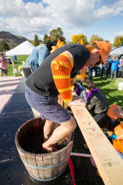 1 Ekim 2017 - Oliver, British Columbia, Kanada: Oliver, British Columbia, Kanada 'da düzenlenen yıllık Üzüm Festivali' ne katılanlar. Üzüm Ezme en popüler etkinliklerden biri.