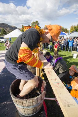 1 Ekim 2017 - Oliver, British Columbia, Kanada: Oliver, British Columbia, Kanada 'da düzenlenen yıllık Üzüm Festivali' ne katılanlar. Üzüm Ezme en popüler etkinliklerden biri.