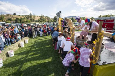 1 Ekim 2017 - Oliver, British Columbia, Kanada: Oliver, British Columbia, Kanada 'da düzenlenen yıllık Üzüm Festivali' ne katılanlar. Üzüm Ezme en popüler etkinliklerden biri.