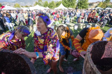 1 Ekim 2017 - Oliver, British Columbia, Kanada: Oliver, British Columbia, Kanada 'da düzenlenen yıllık Üzüm Festivali' ne katılanlar. Üzüm Ezme en popüler etkinliklerden biri.