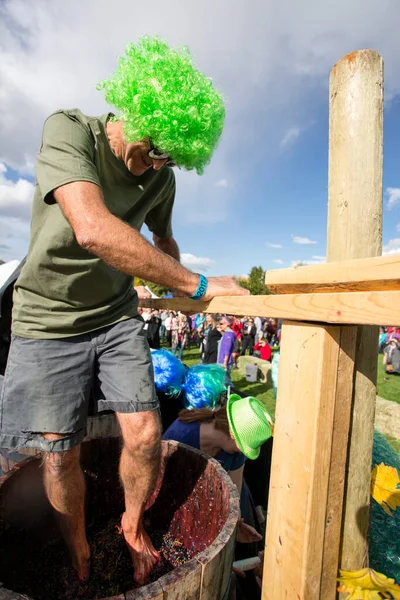 1 Ekim 2017 - Oliver, British Columbia, Kanada: Oliver, British Columbia, Kanada 'da düzenlenen yıllık Üzüm Festivali' ne katılanlar. Üzüm Ezme en popüler etkinliklerden biri.