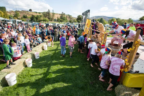 1 Ekim 2017 - Oliver, British Columbia, Kanada: Oliver, British Columbia, Kanada 'da düzenlenen yıllık Üzüm Festivali' ne katılanlar. Üzüm Ezme en popüler etkinliklerden biri.
