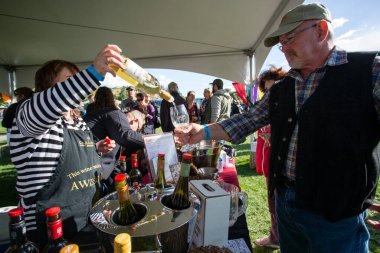 1 Ekim 2017 - Oliver, British Columbia, Kanada: Oliver, British Columbia, Kanada 'da düzenlenen yıllık Üzüm Festivali' ne katılanlar. Üzüm Ezme en popüler etkinliklerden biri.