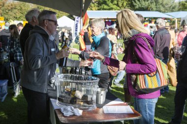 1 Ekim 2017 - Oliver, British Columbia, Kanada: Oliver, British Columbia, Kanada 'da düzenlenen yıllık Üzüm Festivali' ne katılanlar. Üzüm Ezme en popüler etkinliklerden biri.