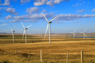 Rüzgar türbini rüzgarın kinetik enerjisini rüzgar çiftlikleri olarak bilinen tesislerde elektrik enerjisine dönüştüren bir cihazdır.. 