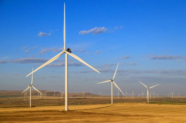 Rüzgar türbini rüzgarın kinetik enerjisini rüzgar çiftlikleri olarak bilinen tesislerde elektrik enerjisine dönüştüren bir cihazdır.. 