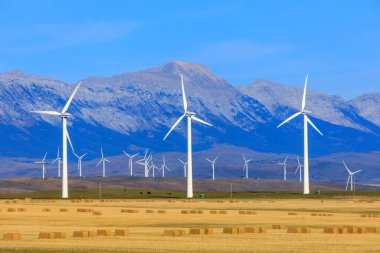 Rüzgar türbini rüzgarın kinetik enerjisini rüzgar çiftlikleri olarak bilinen tesislerde elektrik enerjisine dönüştüren bir cihazdır.. 