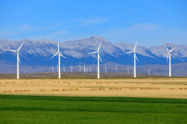 Rüzgar türbini rüzgarın kinetik enerjisini rüzgar çiftlikleri olarak bilinen tesislerde elektrik enerjisine dönüştüren bir cihazdır.. 