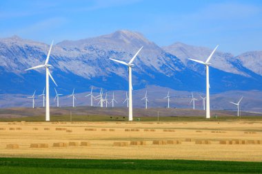 Rüzgar türbini rüzgarın kinetik enerjisini rüzgar çiftlikleri olarak bilinen tesislerde elektrik enerjisine dönüştüren bir cihazdır.. 