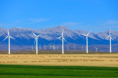 Rüzgar türbini rüzgarın kinetik enerjisini rüzgar çiftlikleri olarak bilinen tesislerde elektrik enerjisine dönüştüren bir cihazdır.. 
